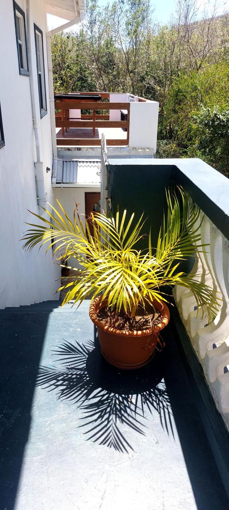 Apartment Joanna Rodney Bay Room photo